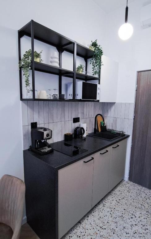 Lion - Premium With Balcony * Krakau